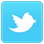 Twitter footer